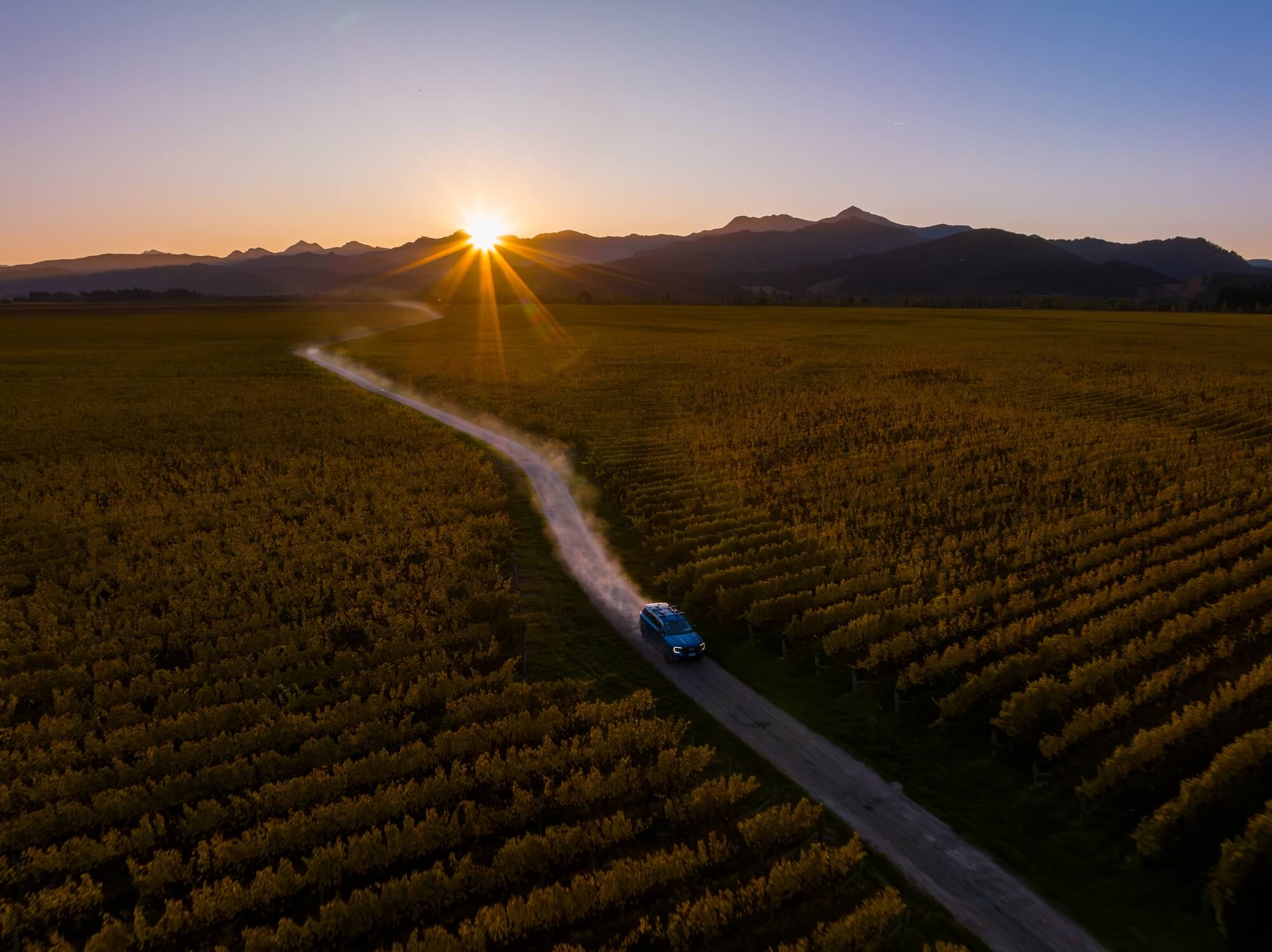 Aerial view of blue van driving through golden vineyard rows at sunset
